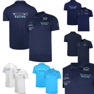 F1 Racing T-Shirt 2022-2023 Formula 1 Resmi Takım Eğitimi Jersey T-Shirt Polo Gömlek Yaz Hayranları Nefes Alabilir Erkek Tişörtleri Özel