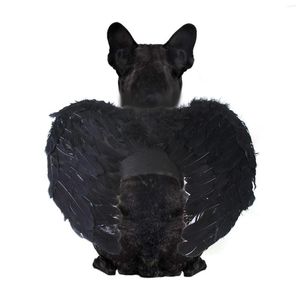 Trajes de gato Halloween Angel Wing Fantaspume Pet Cosplay Roupas de roupas engraçadas Decoração de vestuário para férias de fantasia de cachorro