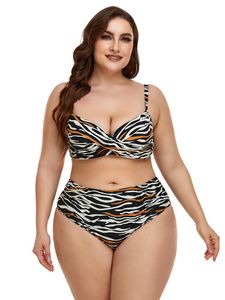 Zebra Print High Waist Swimwear Bikini Set Retro Women Swimsuit Sexy V-Neck Push Up Bathing Suit Brazilian Biquini