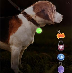 Hundhalsar Led Glow in the Dark Pendant Night Safety Pet Leads Halsband Lysande tillbehör Kattkrage