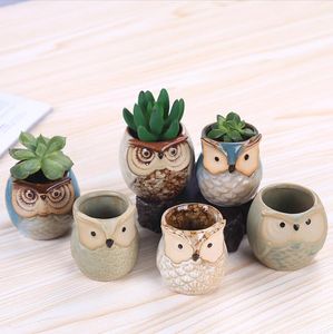 Creative Succulents Ceramics Flower Pot Owl Thumb Small Flower Pots Breathable Ceramic Handicraft Decoration