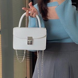 Evening Bags Pu Leather Women Chain Shoulder Bag Hasp Top-handle Crocodile Patrern Ladies Handbags Small Square Messenger For Female