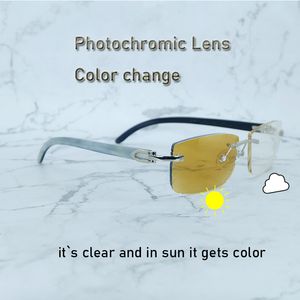 Photochromic Carter Sunglasses Color Buffalo Horn changed Two Colors Lenses 4 Season Glasses Interchangble Men Shades White Inside Black Buffs horn Eyewear