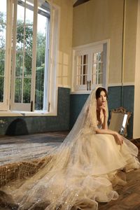 Bridal Veils Design Champange Or White Cut Edge Wedding Veil 1 Layer Exquisite Sequin Long Comb Accessorie