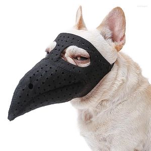 Lustige Schnabelmasken