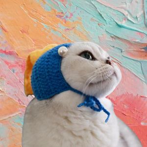 Dog Apparel Cat Knitted Hat Lovely Pet Headwear Funny Puppy Cap