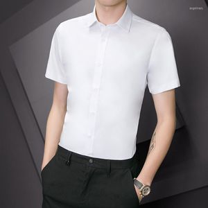 Camisas casuais masculinas Trabalho Twill Men Dress Dress Solid Summer Summer Manga curta