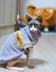 Cat Costumes Sphynx Cat Clothes Baby Soft Cotton Autumn Winter Kitten Clothes for Cornish Devon Cat Costume Hairless Cat Clothes AA230324