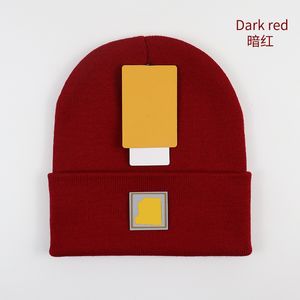 2023 Mens classic designer carhart spring autumn winter beanies hot style hat south america men and women fashion universal knitted cap autumn outdoor skull caps A12