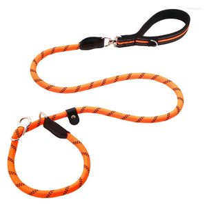 Dog Collars Anti-winding Integrated Training P Rope Reflective Nylon Leash Chain Slip Durable Strong Lead