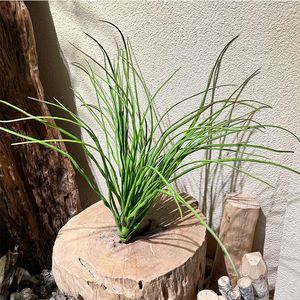 Flores decorativas de 50cm de licença artificial de simulação cebola folha grama suculenta planta plant diy costura flor plantas de gramado