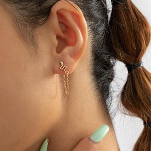 Stud Küpe Kadınlar İçin Sevimli Küçük Yılan Sınırsız Çelik Altın Renk Retro Hayvan Kulak Kemik Küpe Piercing Mücevher Hediye