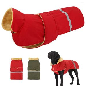 Abbigliamento per cani Giacca invernale Abbigliamento Cappotto grande riflettente impermeabile Morbido collo alto Abbigliamento per animali domestici per cani di taglia media Pitbull