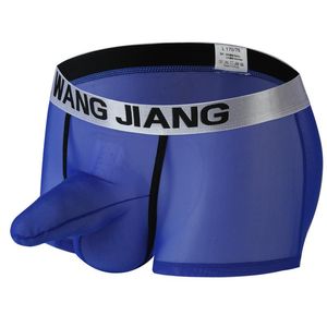 Unterhosen Herren Boxer Transparente Sexy Unterwäsche Boxershorts Gaze Durchsichtige Höschen Homosexuell Penis Beutel Nachtwäsche Böden Mann