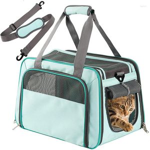 Capas de assento de carro cachorro filhote de cachorro carregando para cães pequenos cães gatos mochila saco de acessórios para animais de estimação suprimentos de malha dupla respirável Transporte de viagem ao ar livre