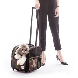 Hunde-Autositzbezüge, Haustier-Trolley, Kinderwagen, faltbarer Rucksack mit Rädern, von Fluggesellschaften zugelassener Koffer, Katzenträger, Hund