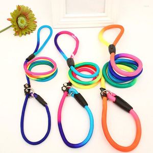 Dog Collars 1Pcs Rainbow Nylon Leash Training Personalized Lead Strap Collar 130cm High Quality Harness Color Randomly
