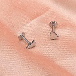 Naso Anelli Studs G23 Insert Rod Lip Nail Earbone Rigido Varietà di colori Gioielli semplici per uomo e donna 230325