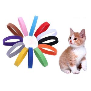 Collari per gatti Guinzagli Forniture per animali domestici 12 pezzi Collari colorati per cani di piccola taglia Panno regolabile per cuccioli Identifica collare di identità Carino piccolo