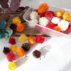 Decorative Flowers 5Pcs Colorful Pine Cones Material Dried Plant Ornaments For DIY Party Holiday Christmas Tree Hanging Accessories