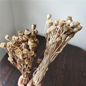 Decorative Flowers Dried And Fruits Plants Wheelnuts Diy Materials Handmade Corsage Headwear Gift Bouquet