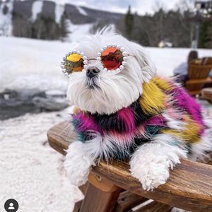 Teddy Bulldogge Schnauzer Sonnenbrille Outdoor Sonnenbrille Hundebekleidung für Haustier Mode Perle Haustiere Sonnenbrille Hunde Zubehör350m