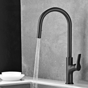 Kitchen Faucets Black Faucet Hidden Design Pull-out Sprinkler Single Handle Cold And Double Control Sink