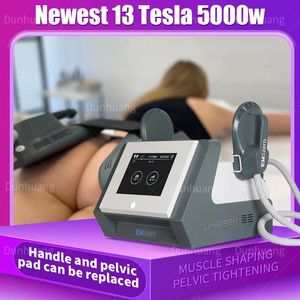 2024 NEW in DLS-EMSLIM Neo Portable 2 4 5 Handles NEO 13 Tesla Hi-emt Machine with Pelvic Stimulation Pads Optional EMSzero