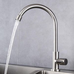 Kitchen Faucets 304 Stainless Steel Rotating Faucet Sink Single Cold Water Tap With Filtered Taps