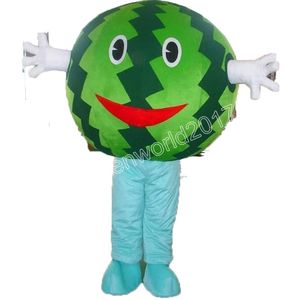 Professionell söt vattenmelon maskot kostym simulering tecknad karaktär kläder kostym vuxna outfit jul karneval fancy klänning för män kvinnor