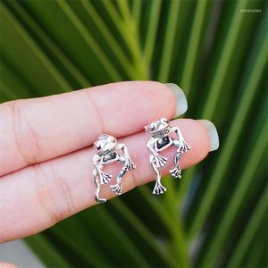 Studörhängen Vintage Design Frog For Women Girls Animal Gothic Ethnic Piercing Female Korean Jewelry Brincos