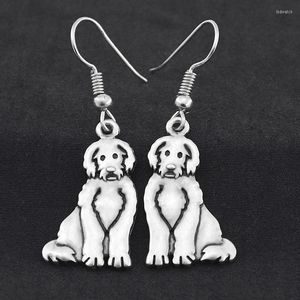 Dangle Küpeler Sevimli Cartoonlabradoodle Dog Drop Brincos Kadınlar İçin Büyük Uzun Küpeler Moda Takı Pentientes Bijoux Femme