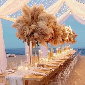 No stand)decoration Wholesale Silk Flowers Large Long Grey Pampas Grass Wedding Decoration Boho Home Decor Natural Dried Flower imake733