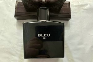 男性の香水青青抗汗剤スプレーEDP 100mlボディミスト3.4 fl.oz oz long stant fragrance nutal mal