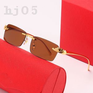 Leopardenkopf-Designer-Sonnenbrille, vergoldete Teile, Sonnenbrille, Modeaccessoires, quadratische Sonnenbrille, polarisiert, UVA-Schutz, Herren-Sonnenbrille, randlos, PJ082 C23