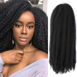 Afro Kinky Marley Braids Crotchet Hair Kanekalon Ombre 2 Tone Coloured Treccia sintetica Extension Intrecciare i capelli