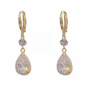 Hoop Earrings Jewelry For Women Set Super Flash Zircon Water Drop Exquisite Crystal Leopard Beaded