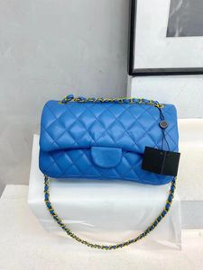 Designer Bag Women's Handbag Wallet Check Diamond Lattice Purse V Grid Letters Solid Hasp Waist Square Stripes Women Handbags 869