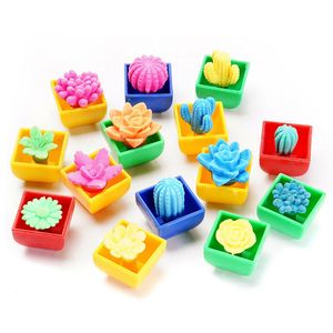 Novelty Games Simulation Mini Potted Plants Soaking in Water Expansion Toy Absorbent Growing Cactus Flower Creative Educational Toys Kids Gifts
