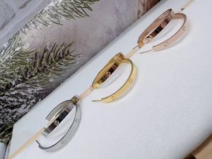 Klassisk lyxdesigner 3cm stor kärleksbåge 316L rostfritt stål 18k guld rosésilver kvinnor inga diamantörhängen tjejer bröllopssmycken