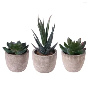 Fiori decorativi Artificiale Succulente Piante grasse finte Simulazione finta Vasi in vaso Succulento Cactus in plastica Realistico Bonsai Decor