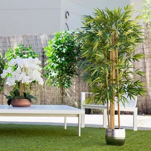 Flores decorativas Árvore de plantas artificiais com troncos naturais para decoração em casa Bambu Ficus Wisteria Olive Eucalyptus Almond