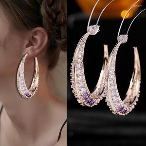 Hoop Earrings XUANHE Y80 S925 Silver Needle French Occidental Style Mesh Red Temperament Light Luxury Exaggerate Atmosphere