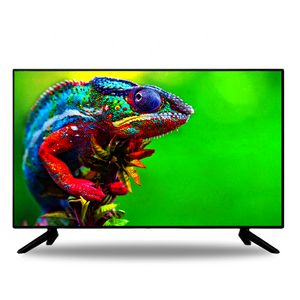 Sconto all'ingrosso di fabbrica HD Home Smart TV TV LCD da 55 pollici 1080P TV LED