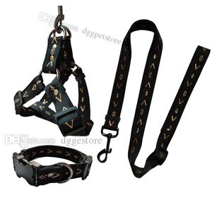Designer Dog Collars Leash set Step In Dog Harness with Gilded Lettering Pattern No Pull Easy Fit Adjustable Pet Harness Comfortable for Small Medium Large Dogs L B170