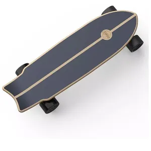 Großhandel DIY billig Mini 4 Räder High Power Fernbedienung elektrisches Skateboard im Freien