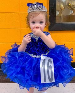 Girl Cupcake Pageant Dress for Little Miss 2023 Royal Blue Paillettes Glitz Baby Kids Birthday Formal Party Gown Infant Toddler Designer Ruffles Gonna Mini Immagine reale