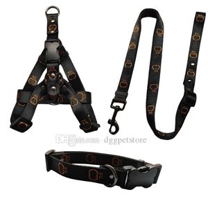 Designer Dog Collars and Leash Set No Pull Dog Harness with Adjustable Nylon Step in Small Medium Large Puppy Vest with Embroidered Letter Outdoor Easy Walking XL B175