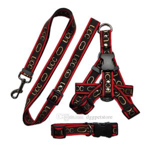 Pettorina per cani di design e collare al guinzaglio Set No Pull Clip posteriore regolabile Pettorina per cani Step-in con collare di base e guinzaglio resistente anti-torsione per cani di taglia piccola e grande S B105