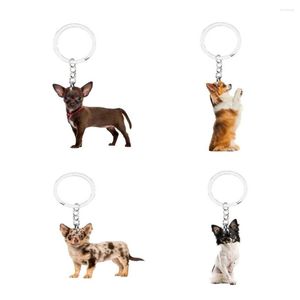 Keychains Chihuahua Animal Keychain inte 3d Kawaii hund söt 4st/parti charms llaveros för vänner gåvor idé akryl kvinnors nyckel kedjor